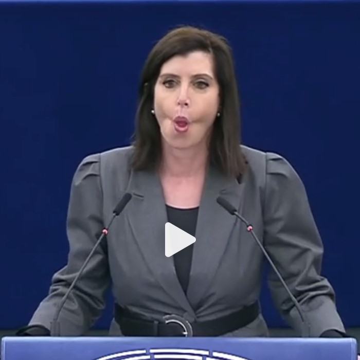 Άννα Μισέλ Ασημακοπούλου: Διασυρμός στο Ευρωπαϊκό Κοινοβούλιο